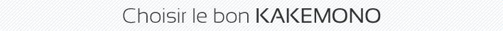 Choisir la bonne bache pour impression acheter le bon kakemono