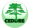 impression banderole écologique